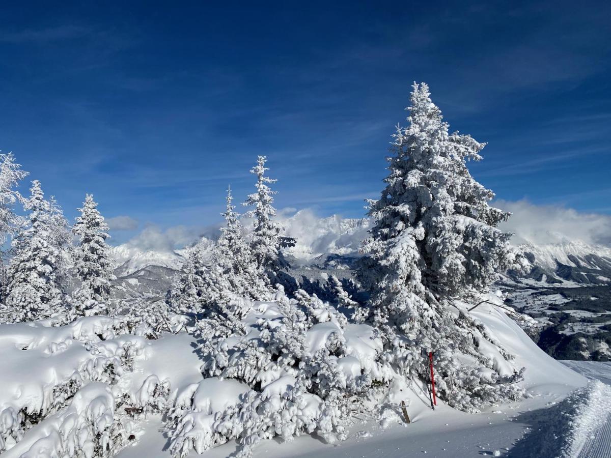 Chalet Reiteralm- Ski Inski Out Schladming Εξωτερικό φωτογραφία