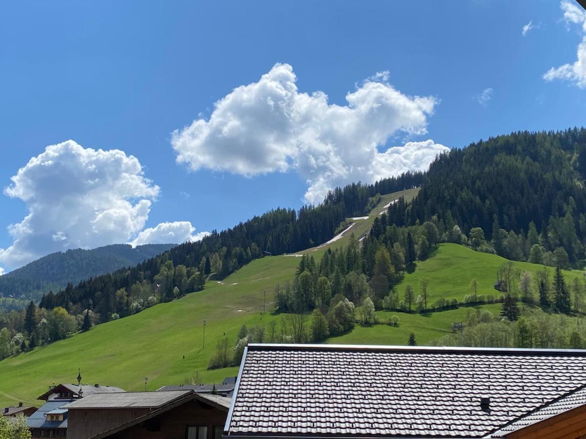 Chalet Reiteralm- Mit Sommercard Schladming Εξωτερικό φωτογραφία